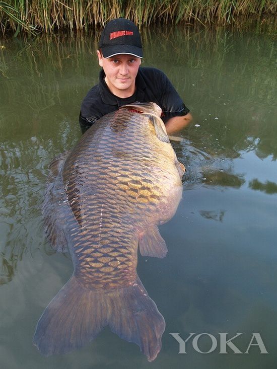江湖告急 吃貨趕緊收拾行李組團打“怪獸”去(2) 江湖告急 吃貨趕緊收拾行李組團打“怪獸”去(2)