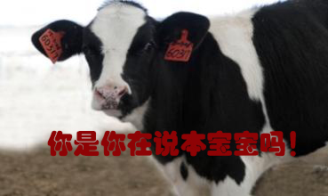 關(guān)我什么事！