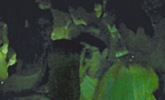 房祖名去年被港媒直擊在中環(huán)夜店與長發(fā)妞互動曖昧,女生正是Nana