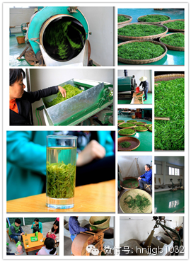 制茶的工藝真地道，仿佛聞到了茶香