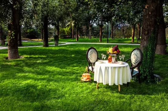 秋陽鴻園，芳草青青