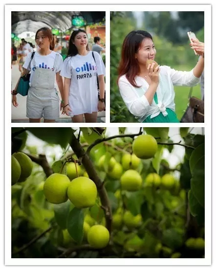 美女與香梨，你更愛哪一個？！