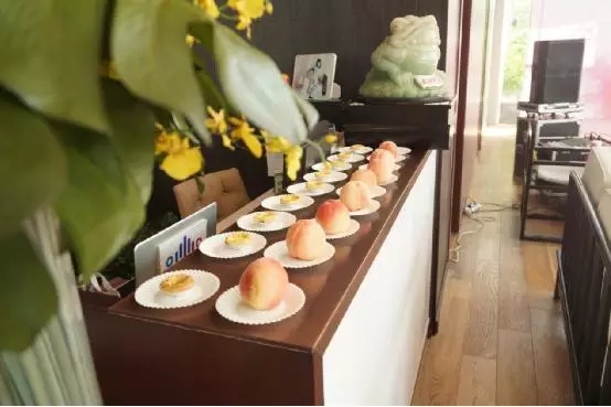 水果、飲料、點(diǎn)心等冷餐自助持續(xù)供應(yīng)滿足嘉賓的胃和味蕾