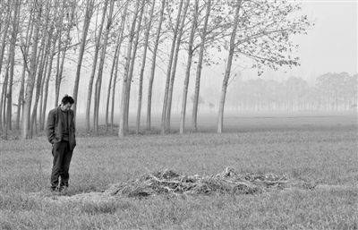 11月21日，高松中站在腦癱雙胞胎兒子墳前。