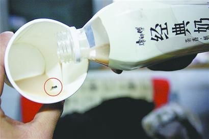 田先生喝的經(jīng)典奶茶中有一只蒼蠅。