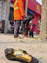 老漢右腿燒傷，樹下扔了一只燒焦的鞋