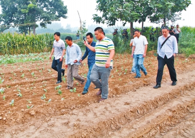 刑警帶嫌疑人司某(左二)在瓜地里指認現場