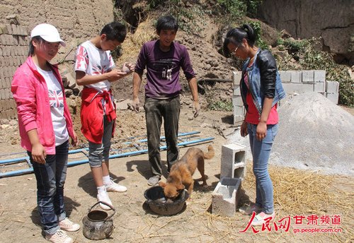 渴壞了的小黃狗在喝水。王生元/攝