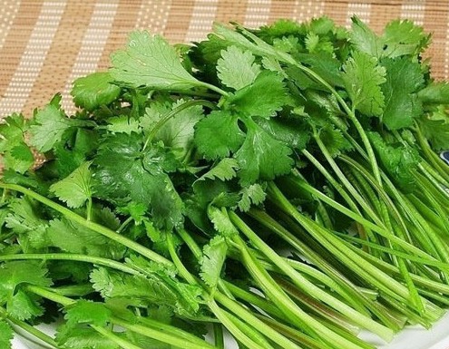 微博票選“最討厭吃的菜” 香菜近萬票當(dāng)選 微博票選“最討厭吃的菜” 香菜近萬票當(dāng)選