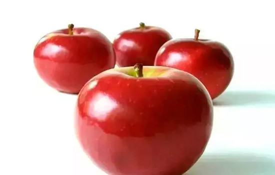 小心有毒！各種蔬果不能吃的部分