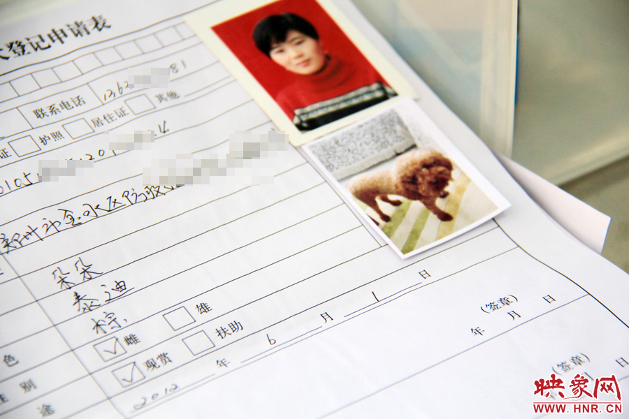 辦理狗證，需要填寫申請表