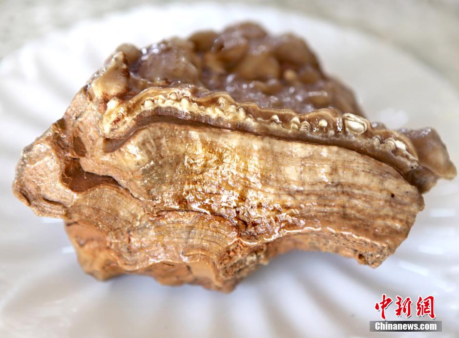 河南藏家擺“肉石宴”幾可亂真 河南藏家擺“肉石宴”幾可亂真