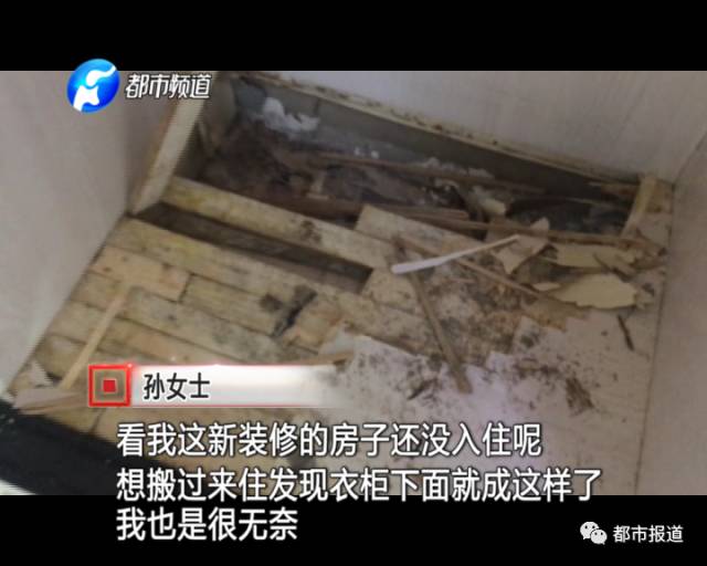 蟻?zhàn)宕筌娙肭?！十幾萬裝修的新家被“吃掉”