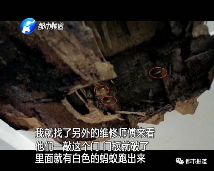 蟻?zhàn)宕筌娙肭?！十幾萬裝修的新家被“吃掉”