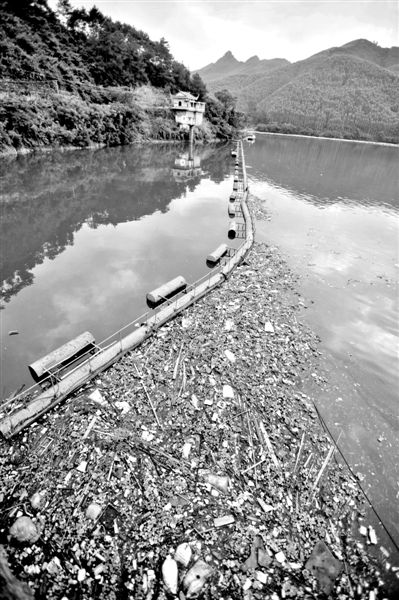 7月7日，廣西賀州市賀江合面獅段被污染的水域。據(jù)新華社