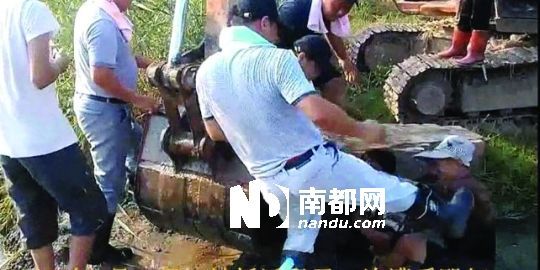 幾名戴黑帽的男子將一名老人推入水塘，后反復(fù)腳踹。