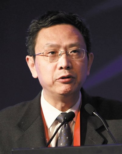 財(cái)政部財(cái)政科學(xué)研究所所長賈康。圖/CFP