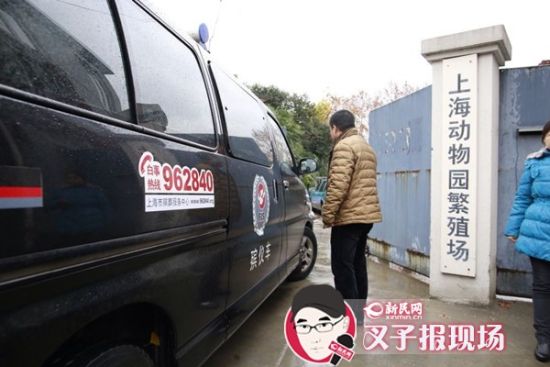 殯葬車到達(dá)現(xiàn)場。新民網(wǎng) 記者 蕭君瑋 攝