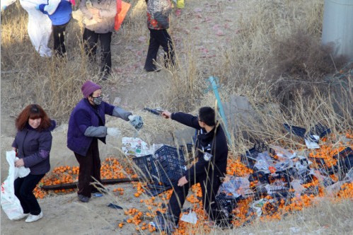 蘭州貨車側(cè)翻橘子遭百余村民哄搶，警察拔槍制止