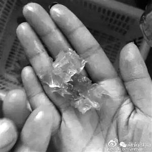 溫州市民買(mǎi)到“注膠蝦”業(yè)內(nèi)人稱(chēng)為增加重量
