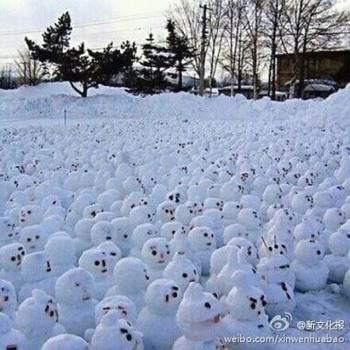 網傳“煙臺男子大學生堆1314個雪人表白”。微博圖