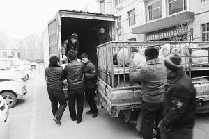 　　■返還追回的被搶綿羊。 本報記者董世杰攝