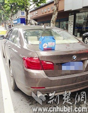 武漢一餐館免費為顧客開寶馬送外賣大蝦(圖) 武漢一餐館免費為顧客開寶馬送外賣大蝦(圖)