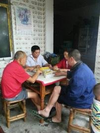 掃水掃不及，胥家鎮(zhèn)柏河村的居民干脆打起了麻將。