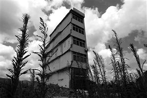 這幢5層的“片片樓”周圍已是一片拆遷后的廢墟，左邊的一堵墻上，不少鋼筋裸露在外面 圖片來源：新華網