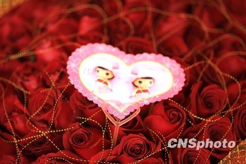 愛(ài)情為什么這么難 愛(ài)情為什么這么難