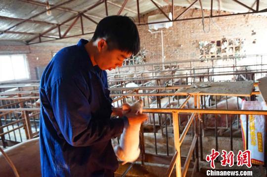 河北一小伙上山當(dāng)“豬倌”8年 自稱“天蓬元帥” 河北一小伙上山當(dāng)“豬倌”8年 自稱“天蓬元帥”