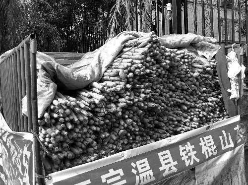 很多種植戶在街頭出售鐵棍山藥 很多種植戶在街頭出售鐵棍山藥