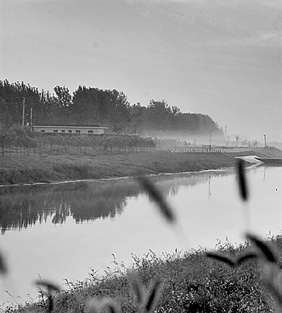 運(yùn)河晨曦 運(yùn)河晨曦