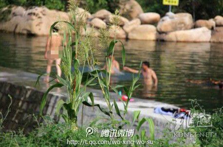 網(wǎng)友曝光的現(xiàn)場圖片。（圖片來自網(wǎng)絡(luò)）