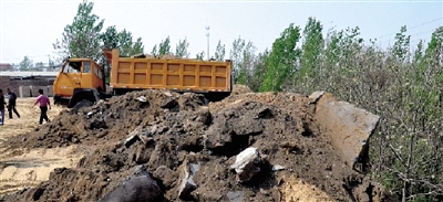 垃圾將生態(tài)涵養(yǎng)林給埋住了。