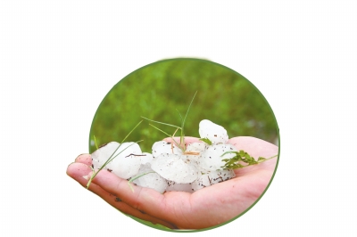 冰雹化了一些,還有這么大。