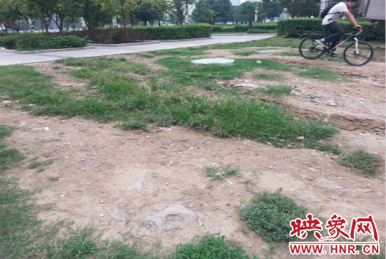 公園內(nèi)大片草坪遭到破壞。