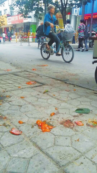 爛了一地的柿子影響市容，還常?；谷?。