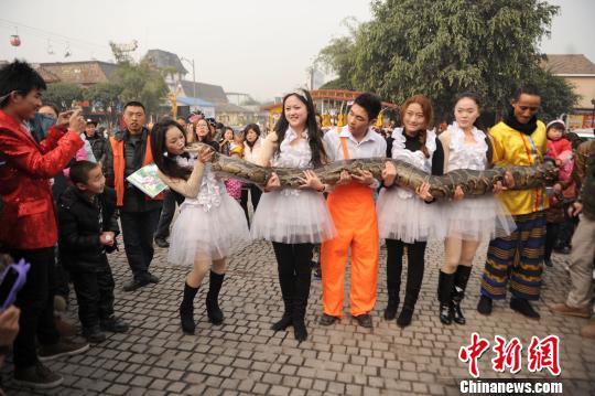 蛇年在即 重慶美女舌吻大蟒蛇求沾喜氣 蛇年在即 重慶美女舌吻大蟒蛇求沾喜氣