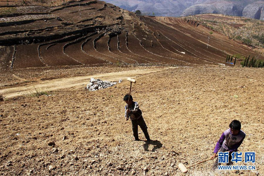 3月16日，在貴州省畢節(jié)市威寧縣斗古鄉(xiāng)中關(guān)村，兩個(gè)孩子幫助家人在干旱的土地上勞動。