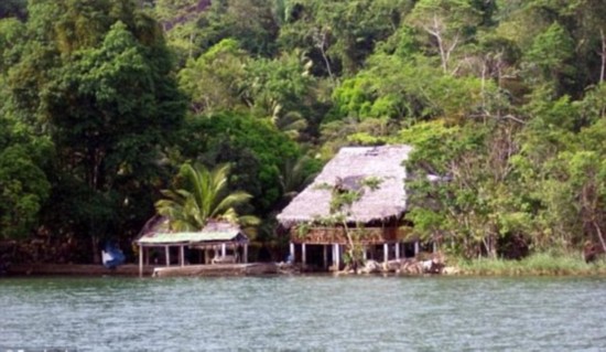 美國(guó)殺毒軟件公司“邁克菲”的創(chuàng)始人約翰·邁克菲(John McAfee)"一夫七妻" 美國(guó)殺毒軟件公司“邁克菲”的創(chuàng)始人約翰·邁克菲(John McAfee)"一夫七妻"