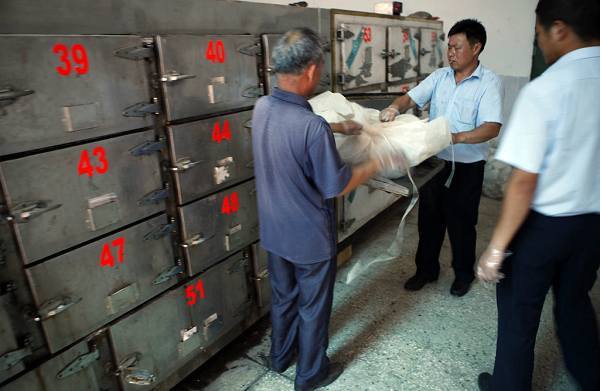 真實(shí)記錄一個(gè)吸毒者生命最后19天 真實(shí)記錄一個(gè)吸毒者生命最后19天