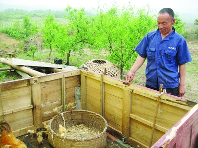 弟弟趙文富向記者介紹他們養(yǎng)雞的地方。