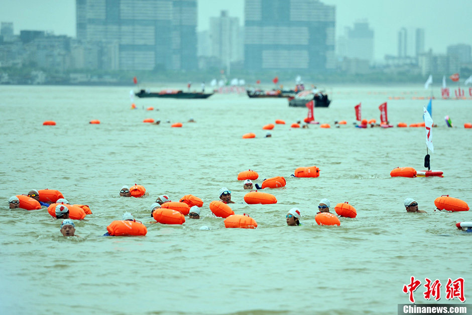 圖為江面上的橫渡方隊(duì)里的選手們劈波斬浪。中新社發(fā) 張暢 攝