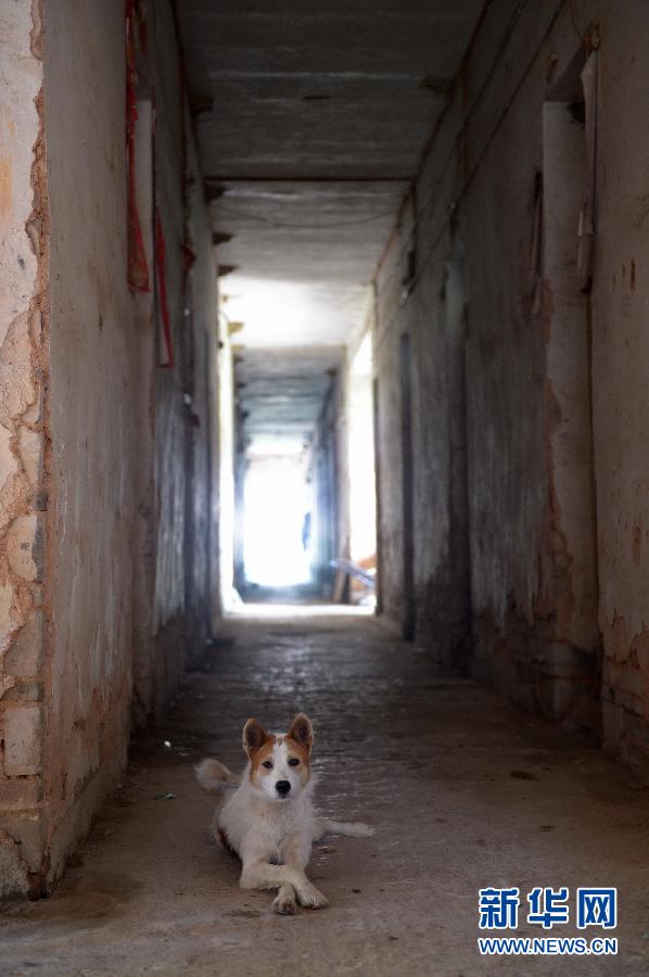 農(nóng)場棚戶區(qū)的最后留守家庭：留下的是回憶，迎來的是幸福