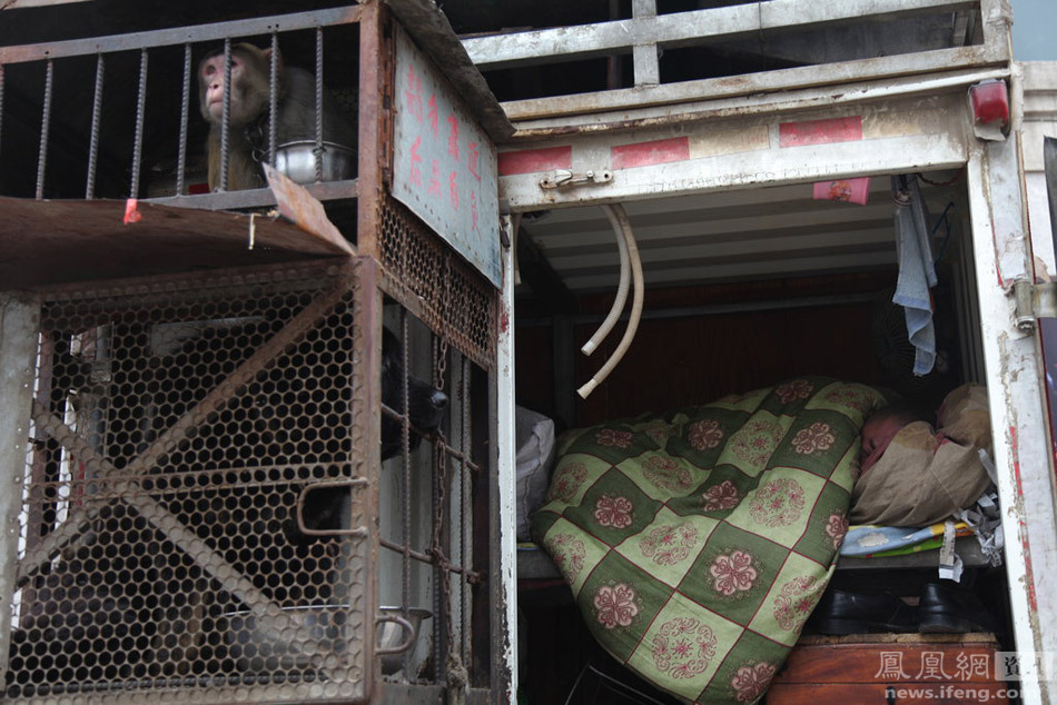 生活在城市 生活在城市