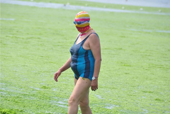 2013年7月3日，山東青島青島高溫來襲，“青島大媽”不懼滸苔，戴著“強盜面具”出現在海水浴場消暑降