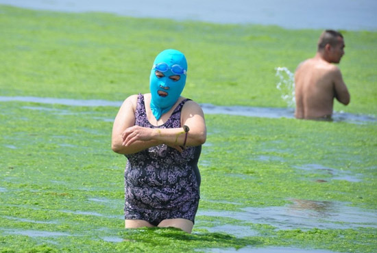 2013年7月3日，山東青島青島高溫來襲，“青島大媽”不懼滸苔，戴著“強盜面具”出現在海水浴場消暑降