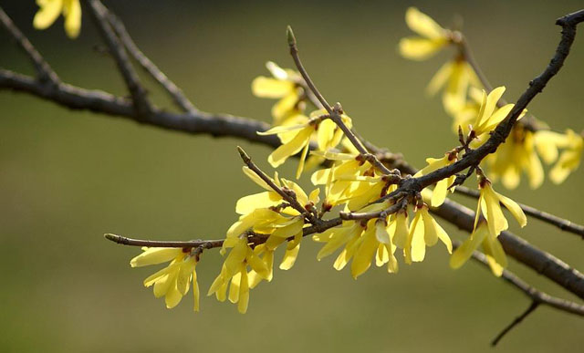龍峪灣美景 龍峪灣美景