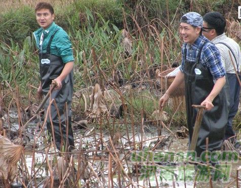 爸爸去哪兒？親密接觸荷花仙子